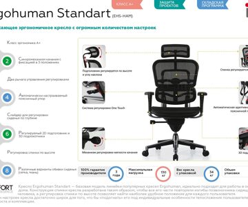 standart-presentation